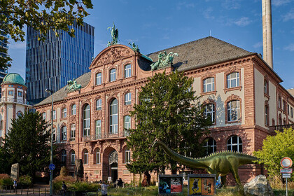 © Tilman2007, „Senckenberganlage 29, Senckenberg Museum Frankfurt am Main 20200925 0035“, CC BY-SA 4.0, via Wikimedia Commons © Tilman2007, „Senckenberganlage 29, Senckenberg Museum Frankfurt am Main 20200925 0035“, CC BY-SA 4.0, via Wikimedia Commons