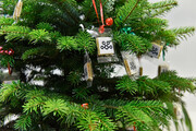 image-10289
